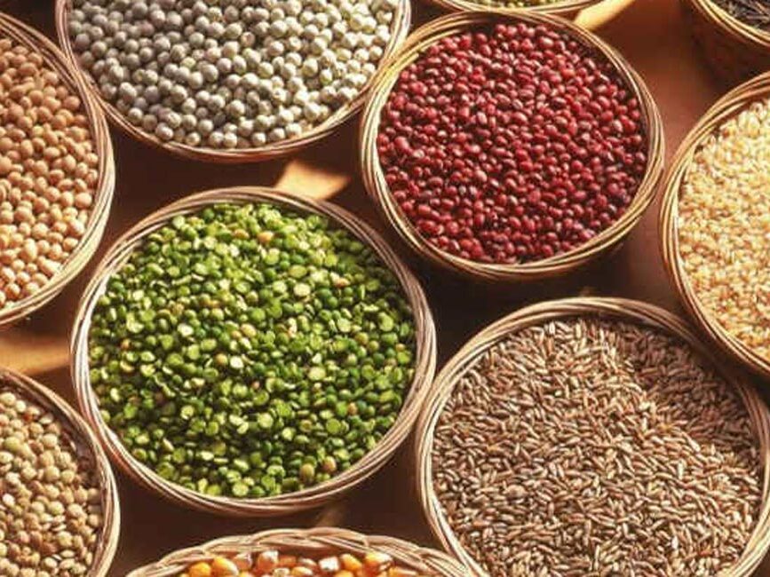 sujon seed slider02